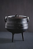Potjiekos (three-legged cast iron cooking pot)