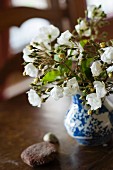 Delicate posy of white roses in blue and white china vase and two pebbles on dark wooden table