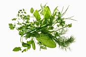 Mixed herbs for a green herb sauce