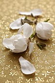 Magnolia flowers on a golden tablecloth