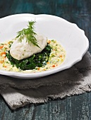 Hake dumpling on a bed of spinach and vegetable sauce