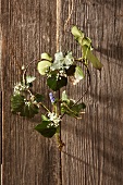 Decorative heart made of ivy, baby's breath and grape hyacinth