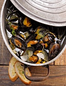 Mussels in vegetable stock