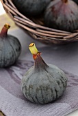 Fresh figs, some in a basket