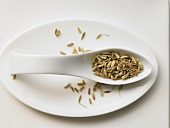 Fennel seeds on a spoon