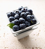 A dish of fresh blueberries