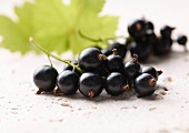 Blackcurrants with leaf