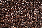 Coffee beans (full-frame)