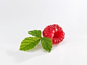 A raspberry with a leaf on a white surface