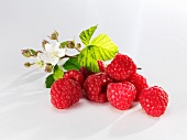Raspberries with leaves and flowers