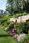 Blooming perennials in front of natural stone wall in a spacious garden