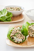 Asian Style Chicken Salad Served on Lettuce Leaves