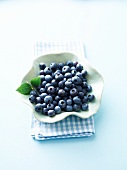 Blueberries in a dish