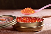 Salmon caviar on a spoon