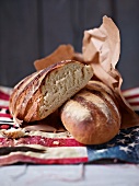 American sour dough bread