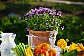 Fresh vegetables and flowers on a summery table outside