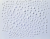 Drops of water on white background