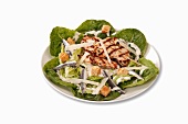 Caesar salad with chicken