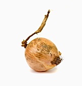 An old onion