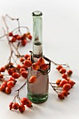 A bottle of homemade rosehip vinegar