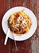 Spaghetti with tomato sauce and cheese