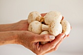 A woman holding fresh mushrooms