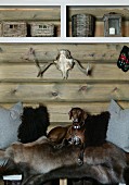 Dog lying on animal-skin blankets on bench below modern shelves mounted on wooden wall