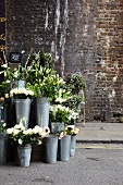 A flower stall with zinc vases in front of an old brick wall