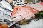 A fresh fish on ice with a price label