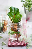 Chicken skewer with chard, in a jar with cow parsley tied round it