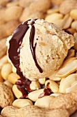 Peanut ice cream with roasted peanuts and chocolate sauce