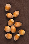 Hazelnuts on a brown surface