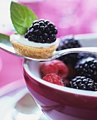 A mini berry tartlet on a spoon