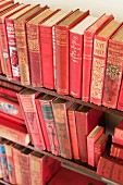 Holzregal mit rot eingebundenen Vintage-Büchern