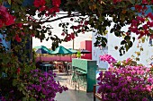 Blick durch Bougainvillea auf die Bar und das Frühstücksrestaurant im Innenhof