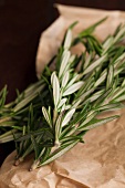 Fresh Rosemary on Paper