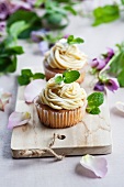 Peppermint cupcakes