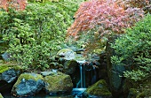 Small waterfall in the pond of the Japanese Tea Garden in Portland