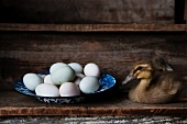 Two Young Ducks with a Bowl of Pastel-Colored Duck Eggs