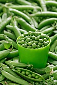 Peas in a green cup surrounded by pea pods
