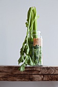 Celery in a glass