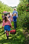 A mother and her children walking through an apple orchard