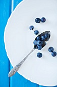 Fresh Blueberries on a Spoon and White Plate; From Above