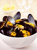 Steamed mussels with onions and herbs