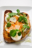 A slice of toast topped with cheese, pumpkin chutney and bittercress
