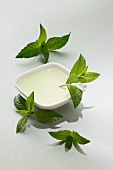 Peppermint oil and fresh mint