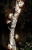 Flower-shaped fairy lights wrapped around tree trunk and glowing in night forest