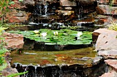 Waterfalls and flowering water lily in pool