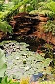 Water lilies in pond below waterfall