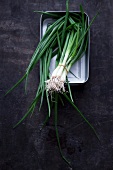 Spring onions in a metal dish